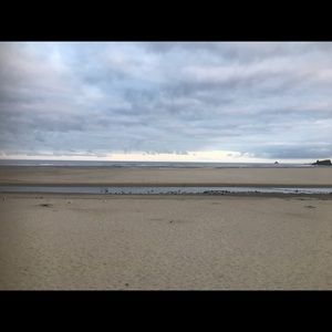 Meet your Posher, Lily